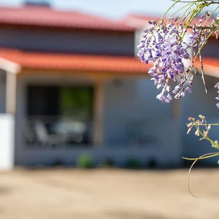 Sikia Village Houses Exterior photo